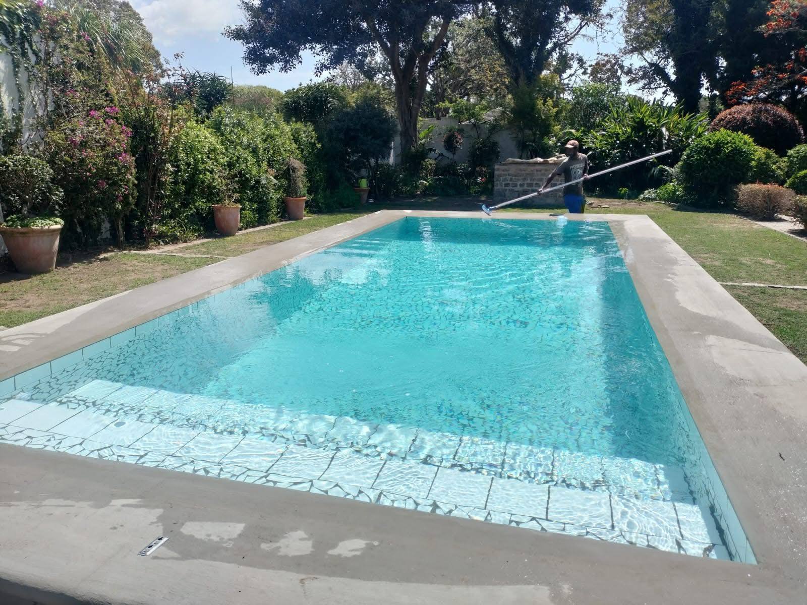 Lap pool construction in Gqeberha with mosaic step detail in a lush Eastern Cape garden