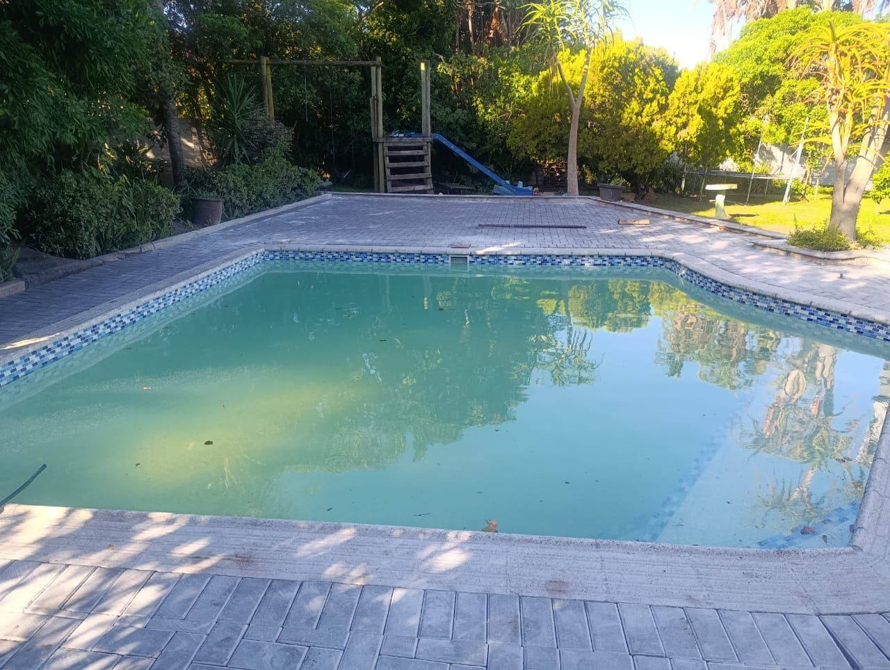 Family swimming pool built in Port Elizabeth with classic blue mosaic tile band by Modern Structure